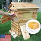 New Cedarwood Super Brood Beekeeping Box With 7pcs Auto Flowing Honey Hive Frame