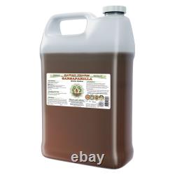 Sarsaparilla (Smilax Medica) Organic Dried Root Liquid Extract
