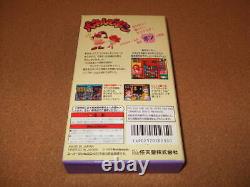 Logiciel Super Famicom Pong Dans Le Panneau Sfc