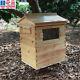 Nouveau Super Beekeekeeping Brood House Box Pour 7 Auto Honey Bee Hive Frames