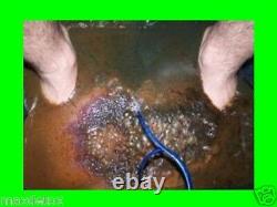 Super Deal Spécial! Dyna-chi Ionic Foot Bath Detox Machine Avec 1 Tableau Classique