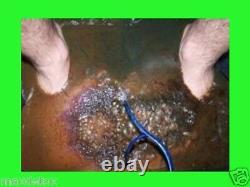Super Deal Spécial! Max Detox Ionic Detox Foot Bath Spa, Avec 2 Tableaux Classiques